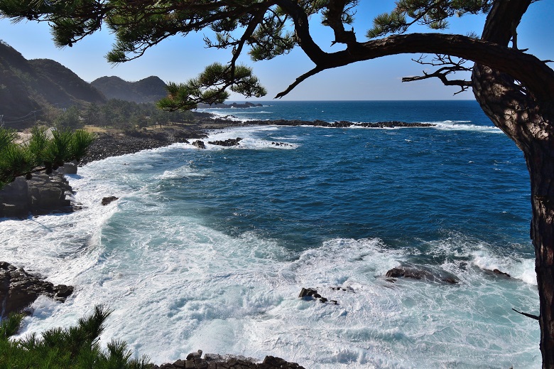 越前海岸