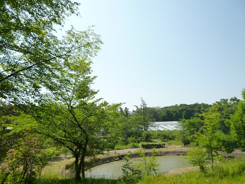 北信濃ふるさとの森文化公園