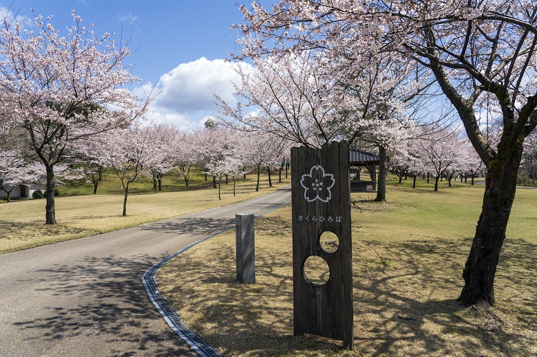 奥卯辰山健民公園