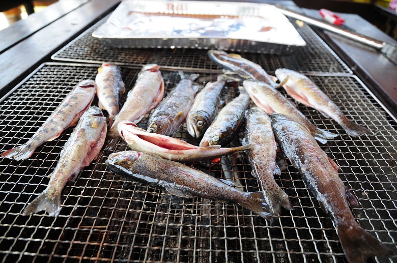 釣った魚をその場でBBQ