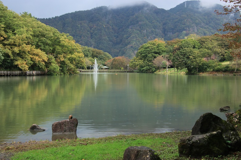 天湖森