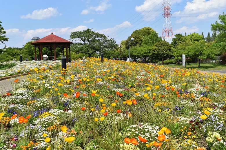 戸田川緑地