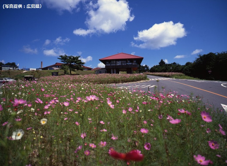 もみのき森林公園