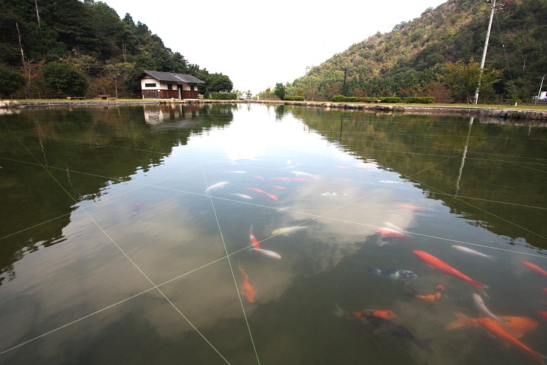 朝倉ダム湖畔緑水公園