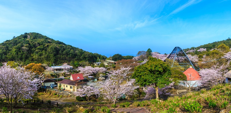 大崎自然公園