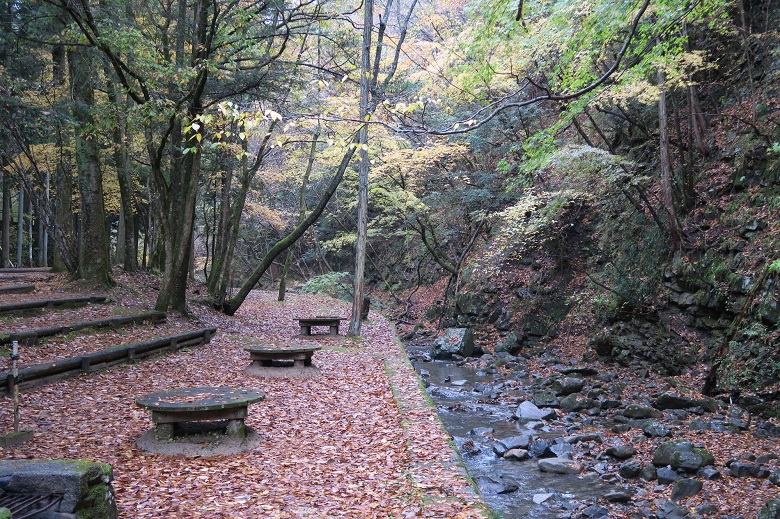 大滝山県民いこいの森