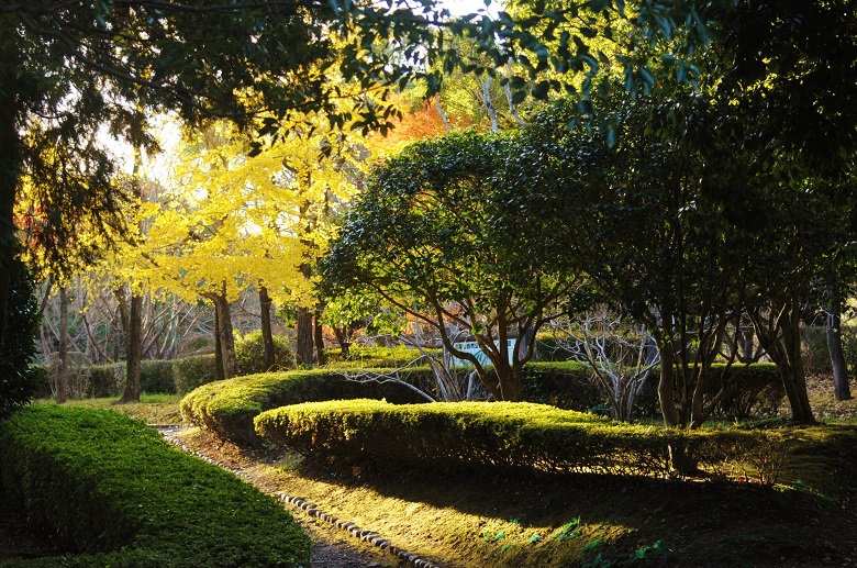 高尾山自然公園