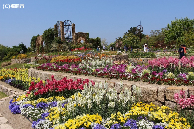 海の中道海浜公園