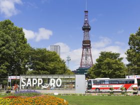 北海道と札幌市の補助金制度について