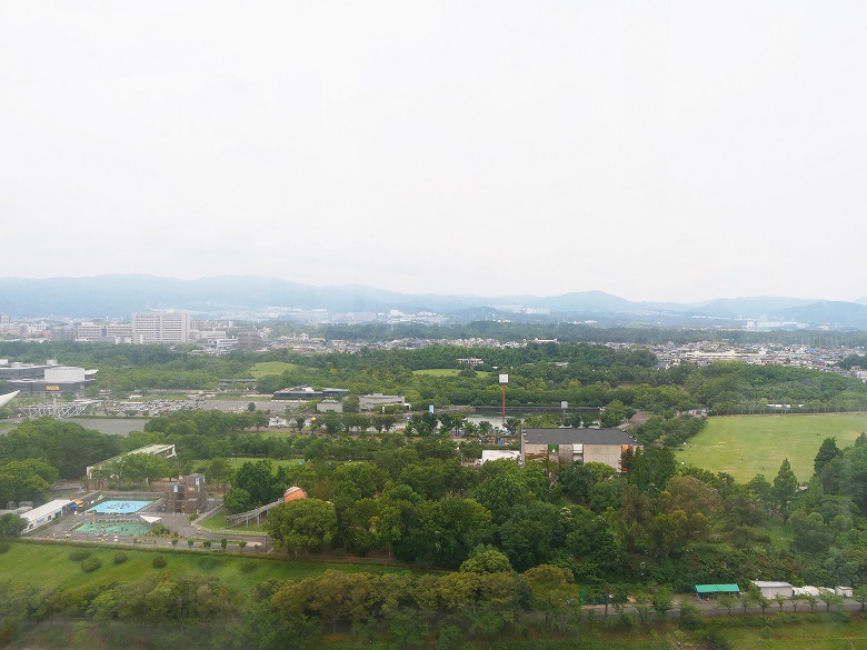 万博記念公園野球場