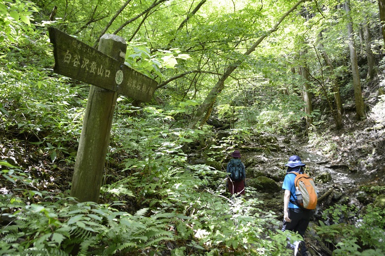 棒ノ折山