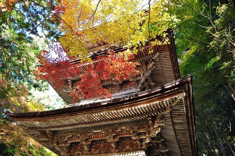 岐阜・横蔵寺