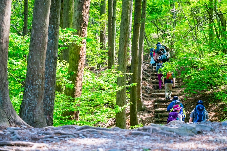 埼玉県・宝登山