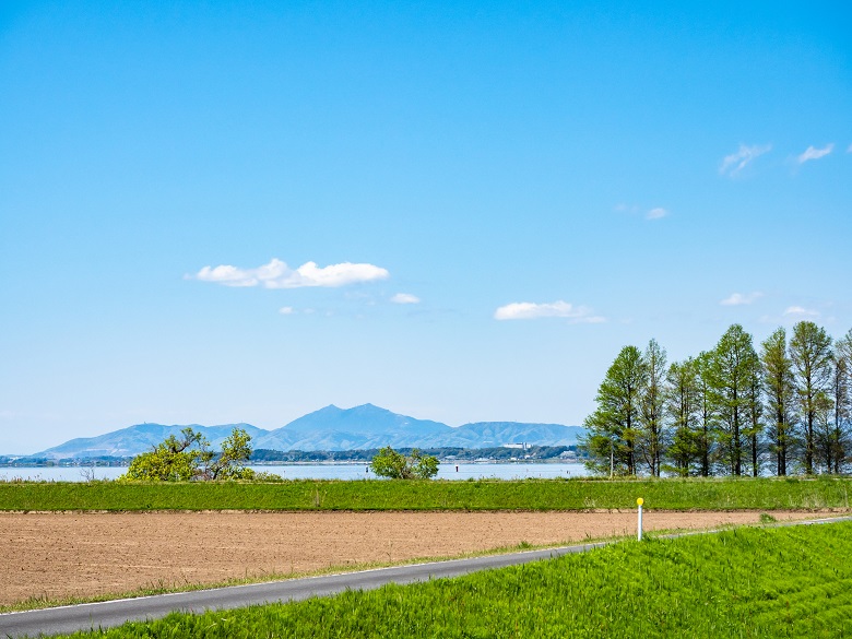 霞ヶ浦の田園風景