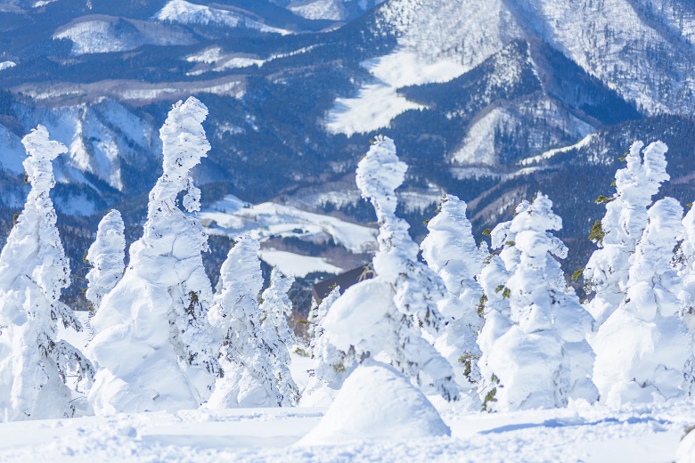 秋田・森吉山の樹氷