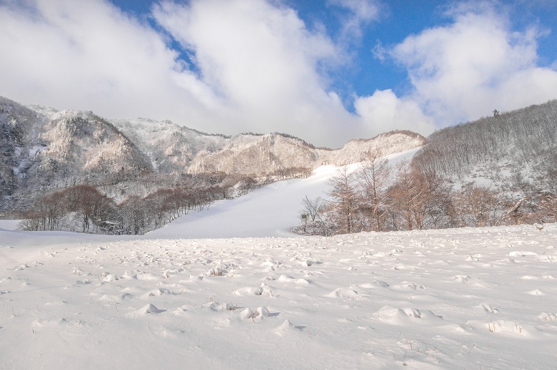 氷ノ山国際スキー場