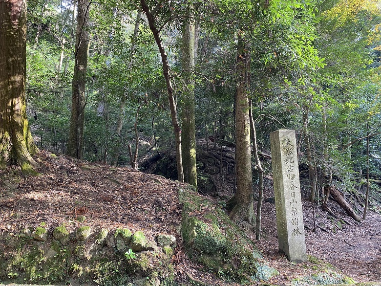 春日山原生林