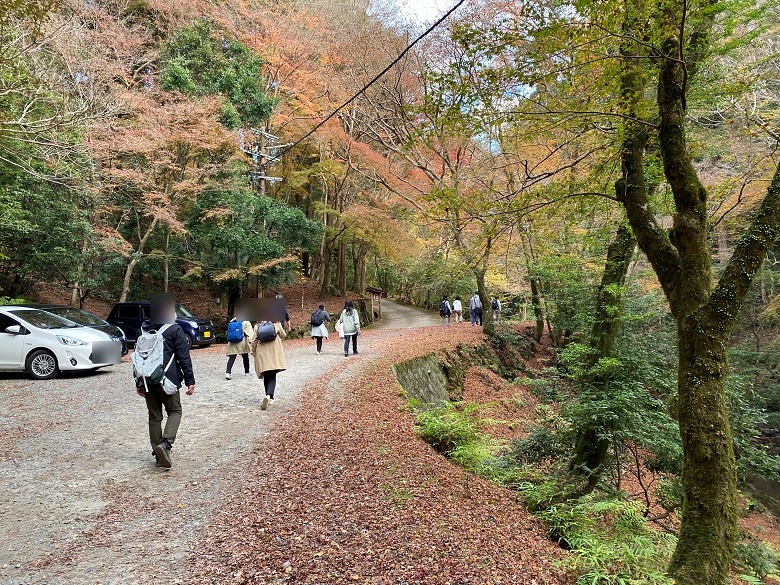 紅葉が残る春日山遊歩道