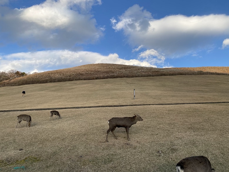 若草山無事下山