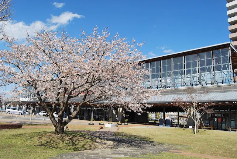 日向市駅