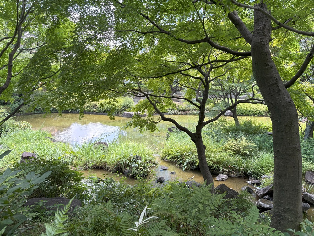 毛利庭園の池