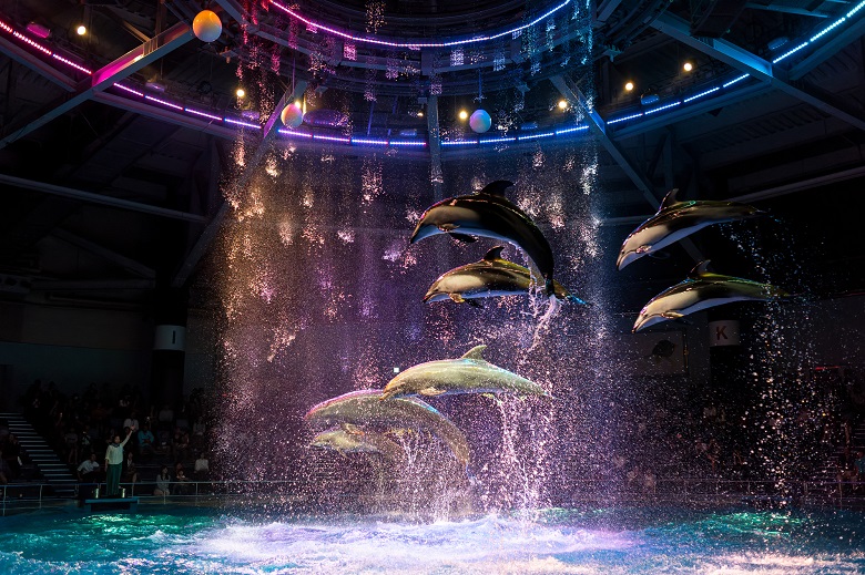 マクセル アクアパーク品川（水族館）