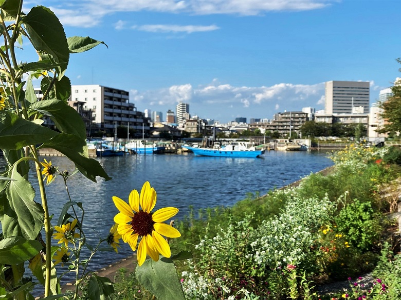 勝島運河・しながわ花街道