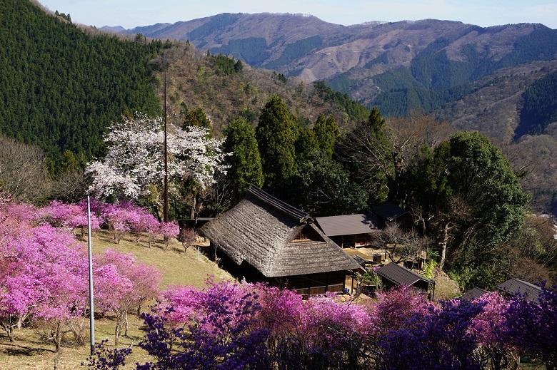 重要文化財「小林家住宅」