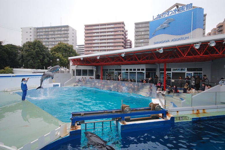 しながわ水族館