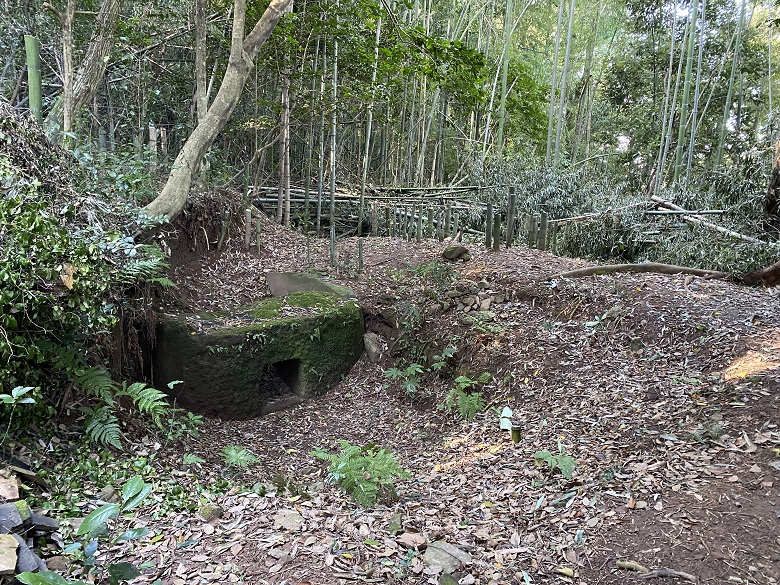 天神垣神社古墳（向山古墳群、小枝山支群３号墳）