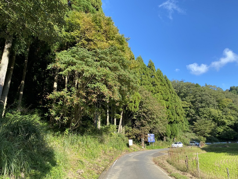 須賀神社・奥宮に至る道