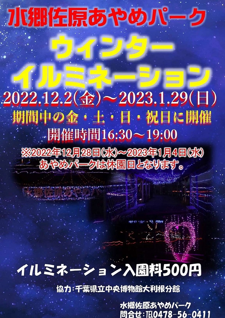 水郷佐原あやめパークウインターイルミネーション