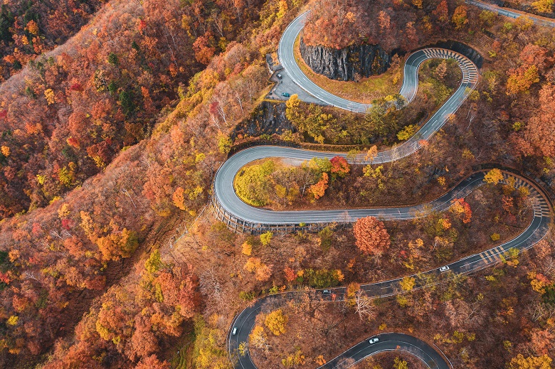 晩秋のいろは坂