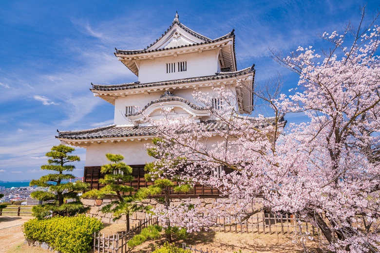 丸亀市の助成金が使える丸亀城天守入館