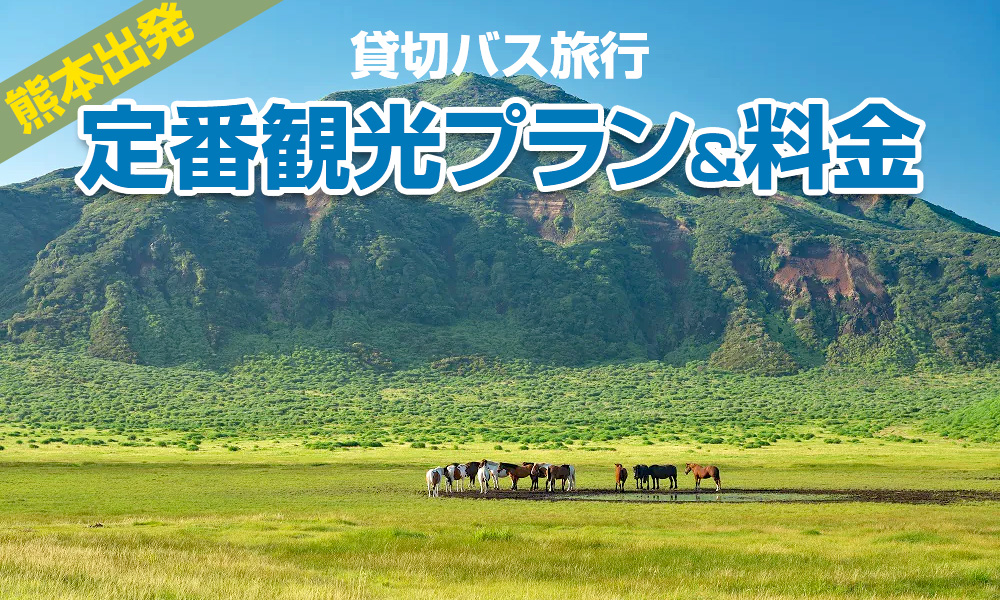 【2023年】熊本出発で楽しむ貸切バス旅行！定番の観光プラン＆料金をご紹介