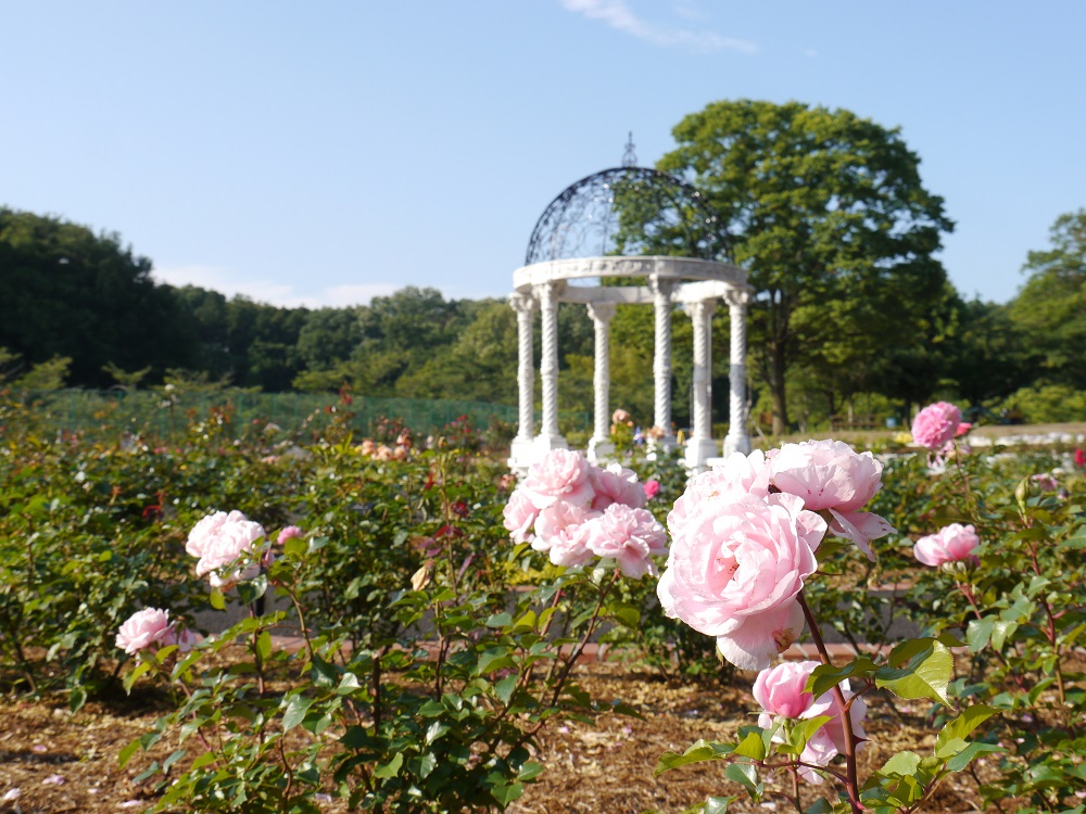 町田市立野津田公園