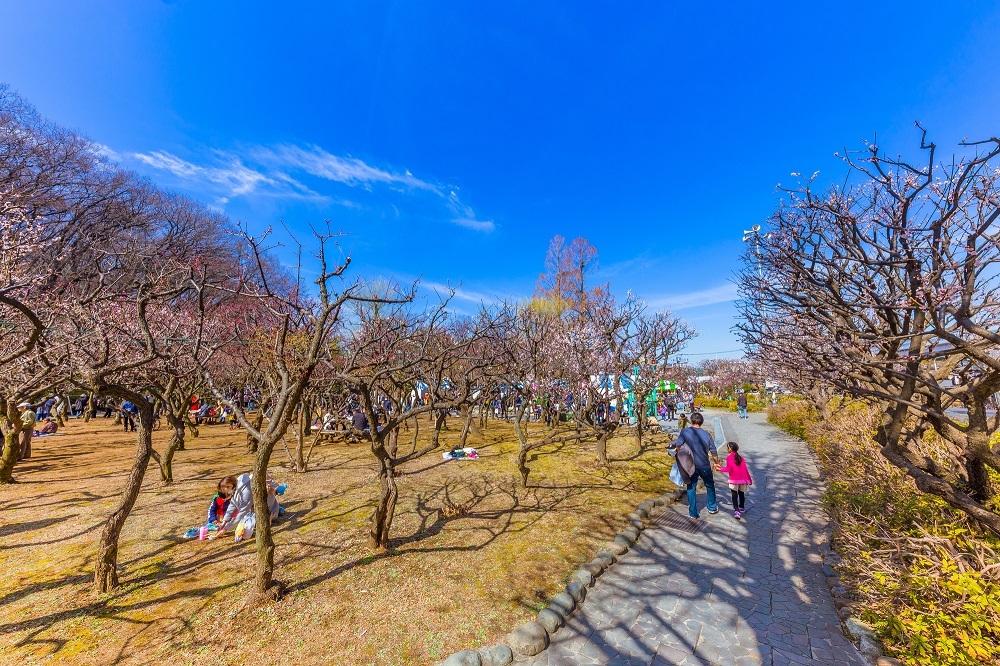 板橋区・赤塚溜池公園