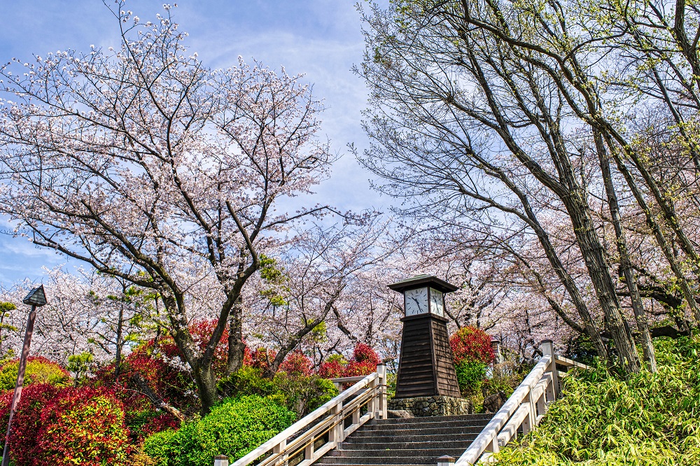 飛鳥山公園