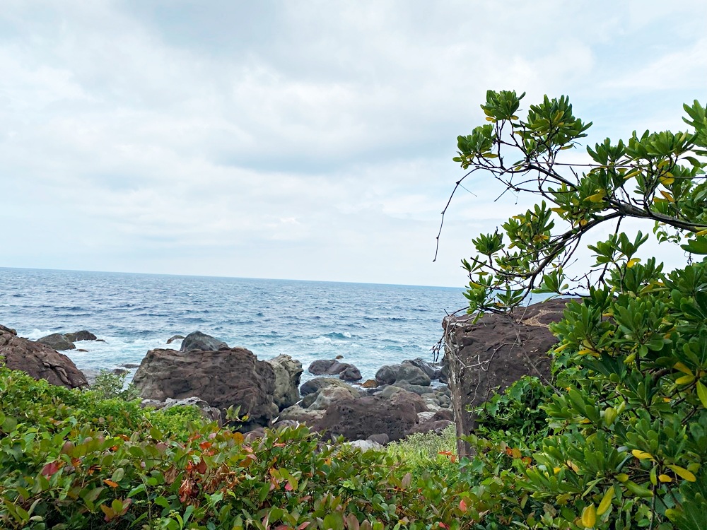 初島