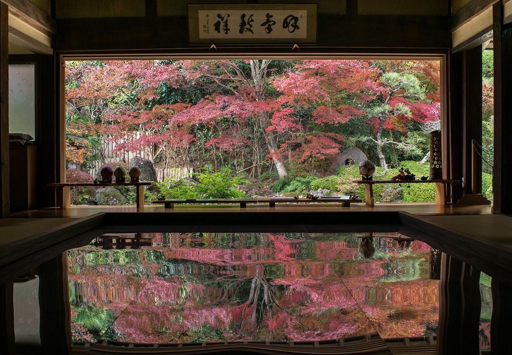 寿福寺の「逆さ紅葉」