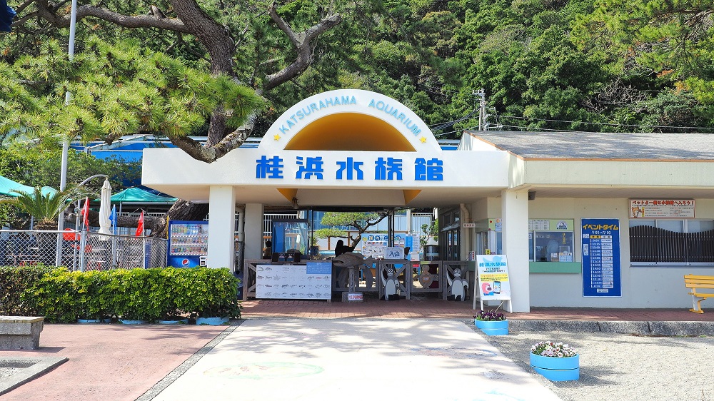 桂浜水族館