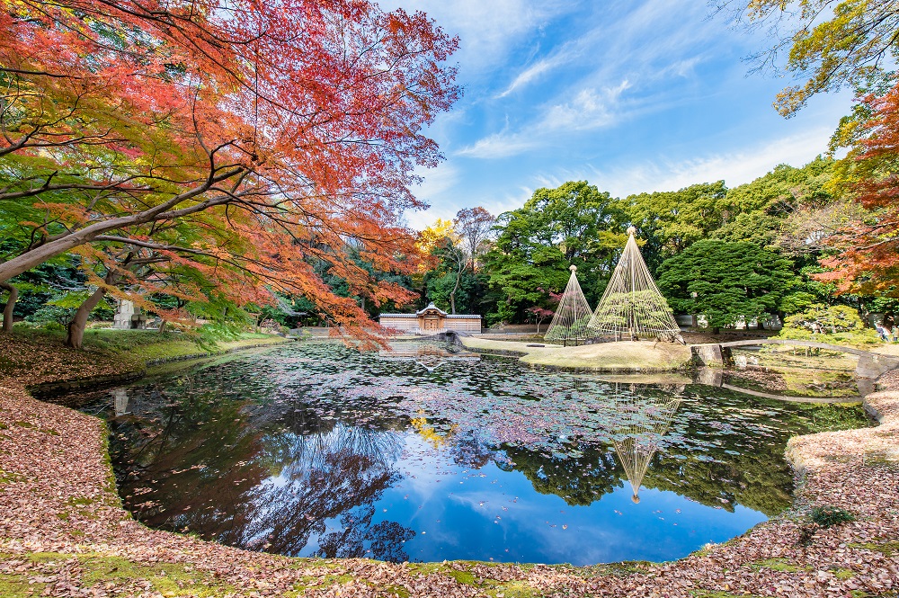 小石川後楽園