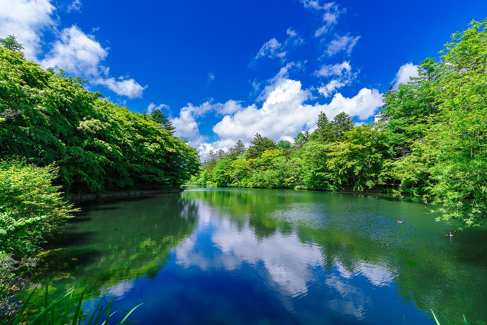 雲場池（軽井沢）