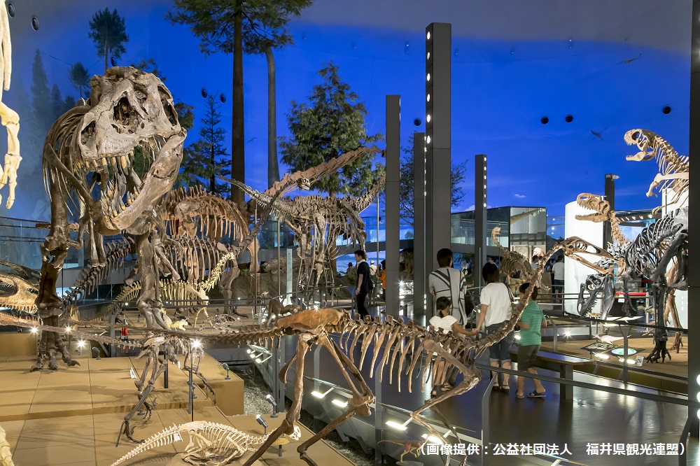 福井県立恐竜博物館