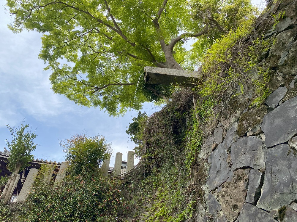 東大寺にある龍王の滝