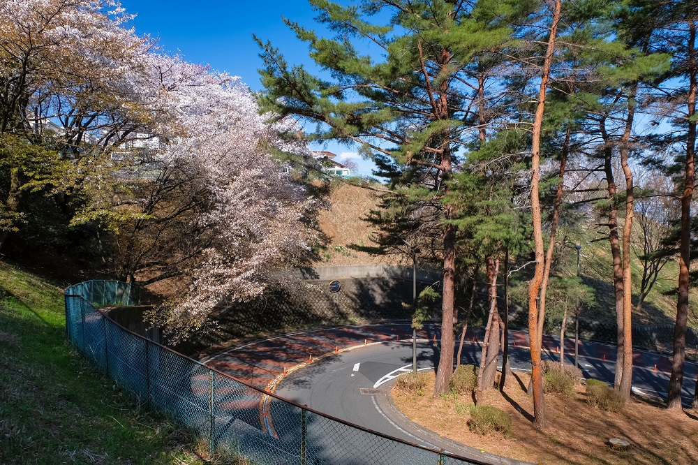 聖蹟桜ヶ丘「いろは坂」