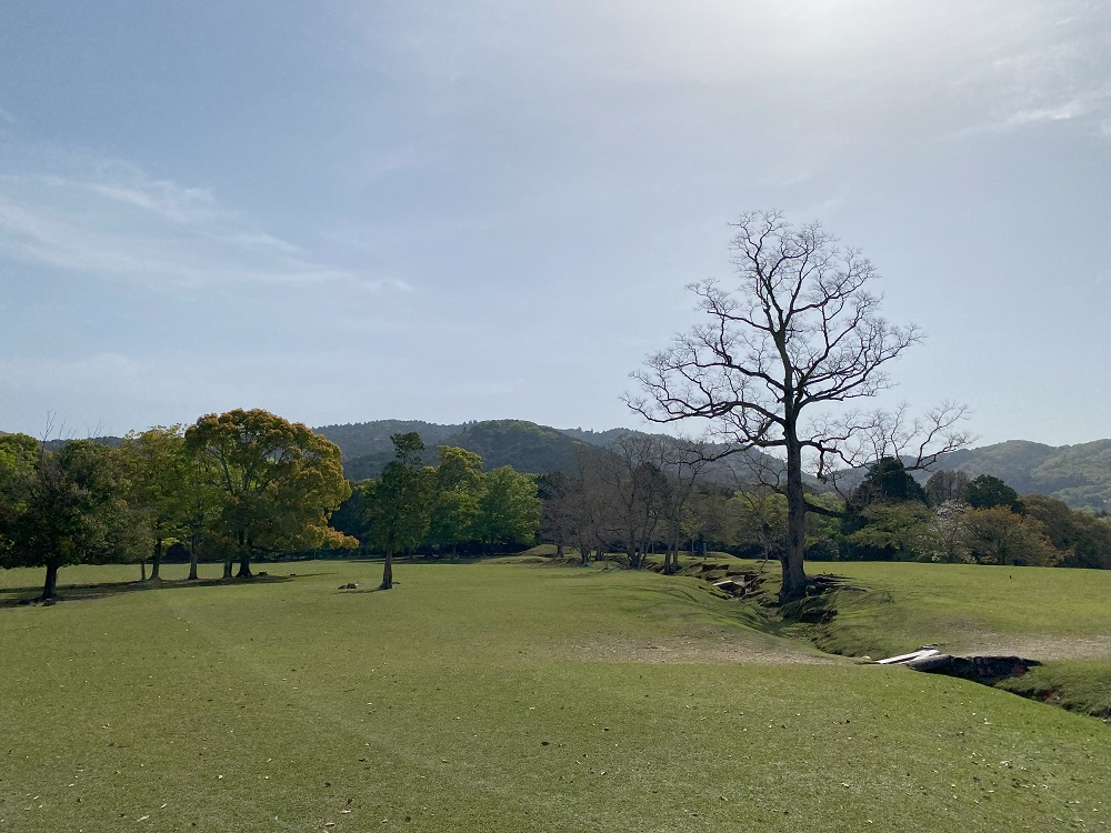 飛火野からも御蓋山を愛でる