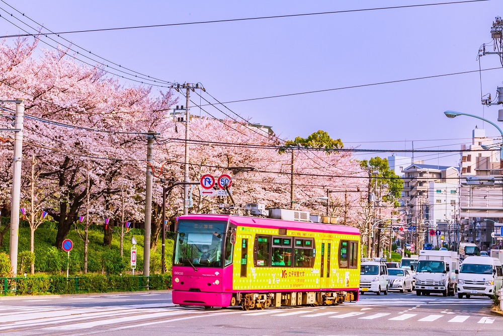 都電荒川線「東京さくらトラム」