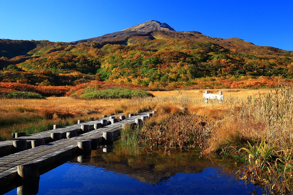 鳥海山・竜ケ崎湿原