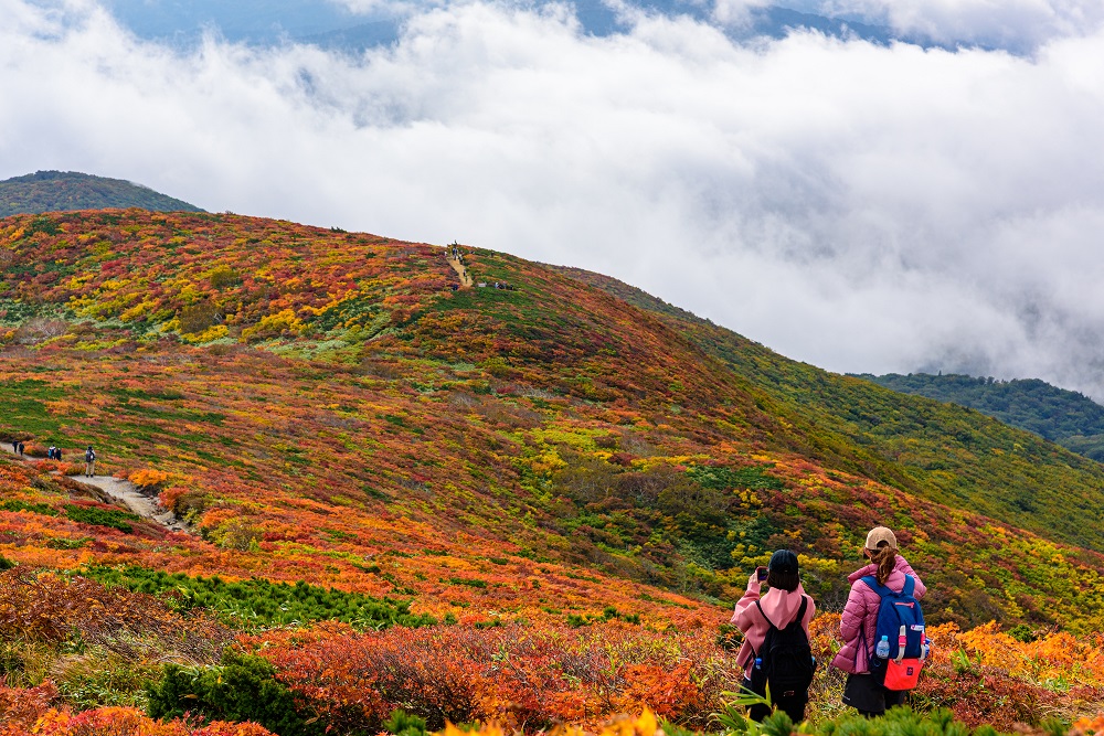 神の絨毯と称される栗駒山